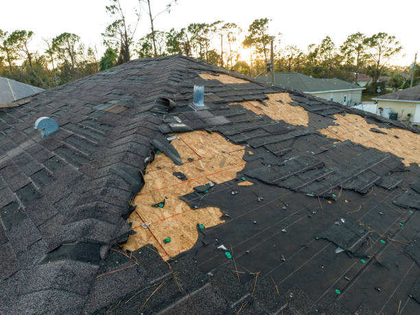 Trusted Golden Valley, MN Roofing service Experts